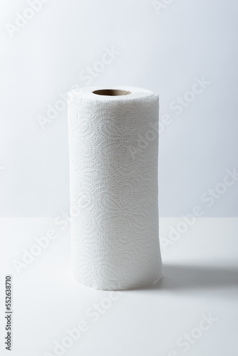 Paper towel on a white background.