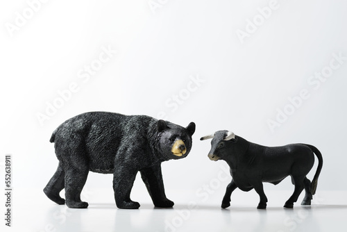 Close up shot of a Bear and bull on a white background.