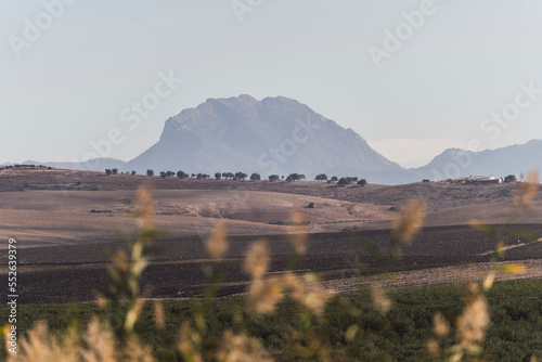 Paisaje de montaña junto a pueblo blanco andaluz en la provincia de cadiz photo