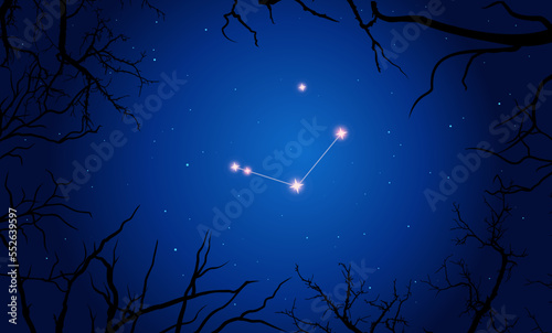Vector illustration Canes Venatici constellation. Bright constellation in open space. Starry sky behind tree silhouette