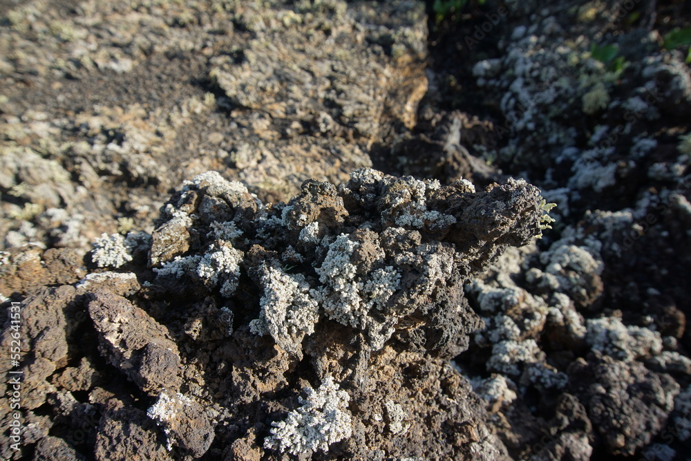 volcanic landscapes of lanzarote, photographed in november 2022. trekking day trip. Crater, volcano, sea of lava, solidified lava, landscape, sony a6000, likens