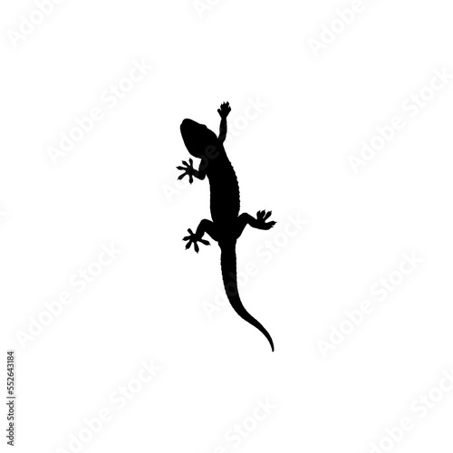 Gecko icon. Simple style reptiles info poster background symbol. Gecko brand logo design element. Gecko t-shirt printing. vector for sticker.