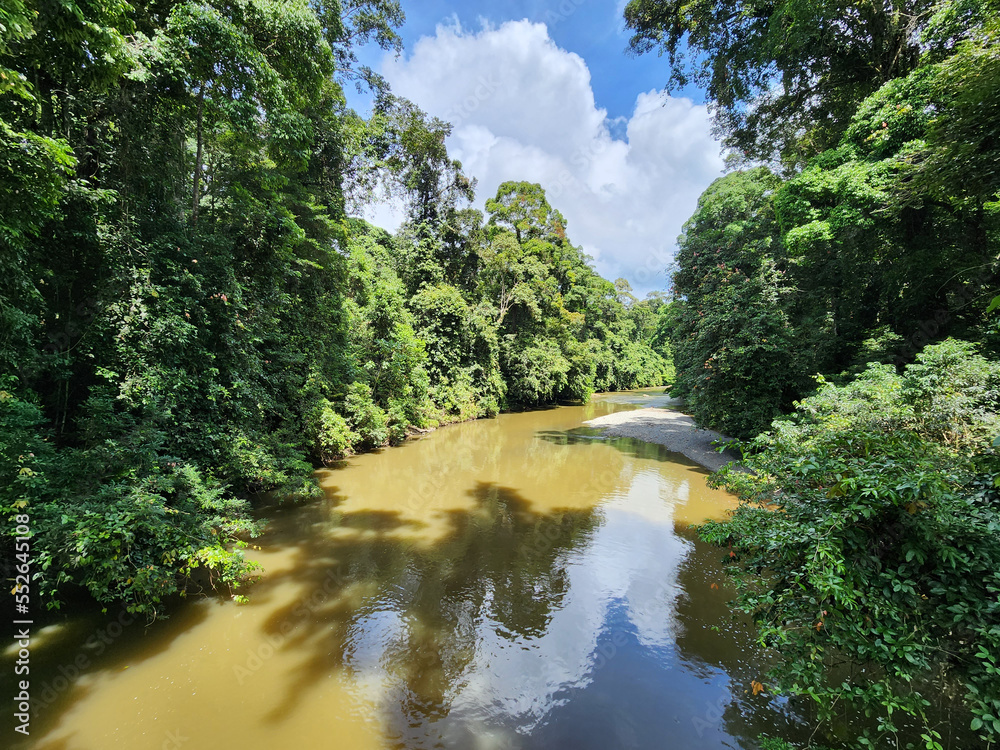 View of Danum river in Danum valley rain forest Lahad Datu Sabah Borneo Malaysia View of Danum river in Danum valley rain forest Lahad Datu Sabah Borneo Malaysia