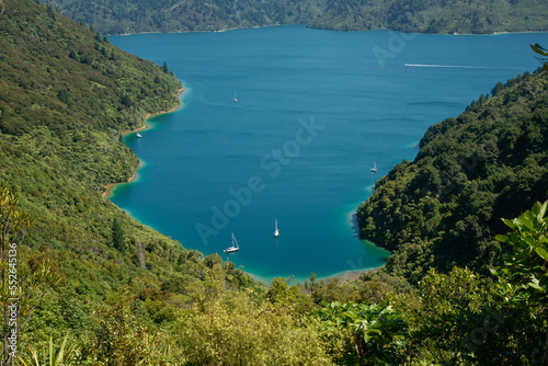 View from Queen Charlotte Track down to beautiful bay