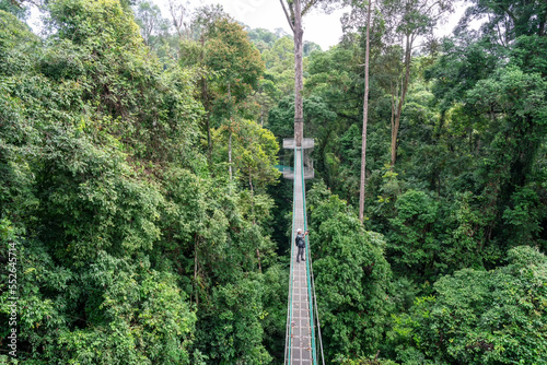 High angle view of man taking photo at suspension bridge in tree top canopy walkway in Danum rain forest Lahad datu Sabah Borneo Malaysia photo