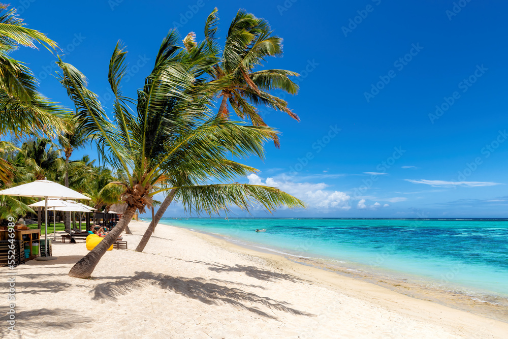 Tropical Beach. Sunny beach with palms and turquoise sea. Summer vacation and tropical beach concept. Tropical Beach. Sunny beach with palms and turquoise sea. Summer vacation and tropical beach concept.