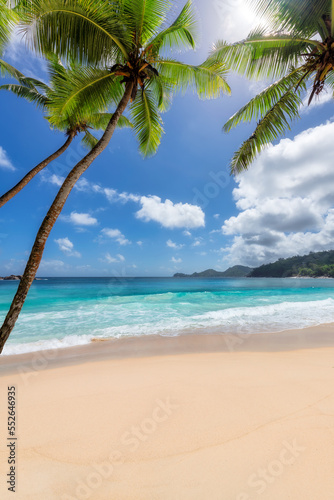 Fototapeta Naklejka Na Ścianę i Meble -  Beautiful tropical beach with palms and turquoise sea in Paradise island.