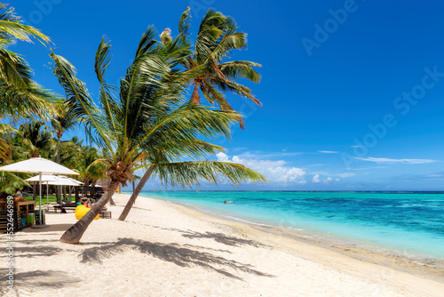 Fototapeta Naklejka Na Ścianę i Meble -  Tropical Beach. Sunny beach with palms and turquoise sea. Summer vacation and tropical beach concept.	
