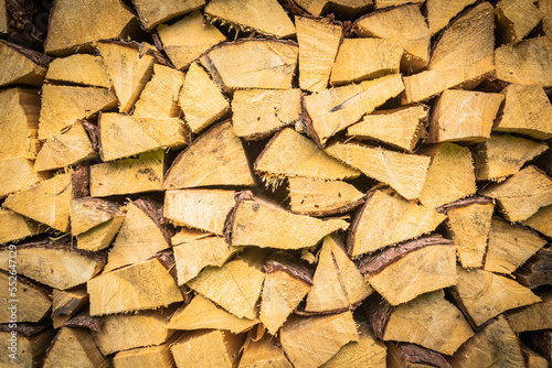 Closeup Natural cut wood textured logs background