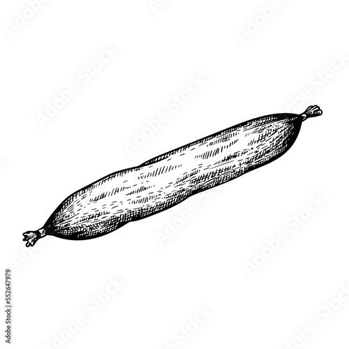 Salami dry sausage in vintage style. Hand drawn sketch style butchery product. Best for package and market advertising design. Vector illustrations isolated on white background.