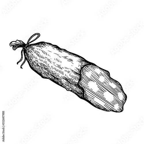 Salami dry sausage in cut. Vintage style. Hand drawn sketch style butchery product. Best for package and market advertising design. Vector illustrations isolated on white background.