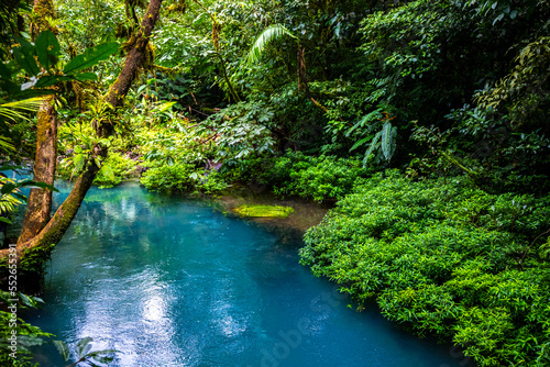 fairytale landscape of volcano tenorio national park by rio celeste river  sky blue river surrounded by dense rainforest in costa rica