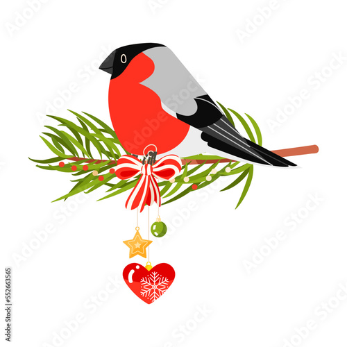 Merry Christmas bullfinch bird with red bow, fir tree branch and toys isolated on white background. Vector holiday illustration. December 25 greeting card and Christmas bird