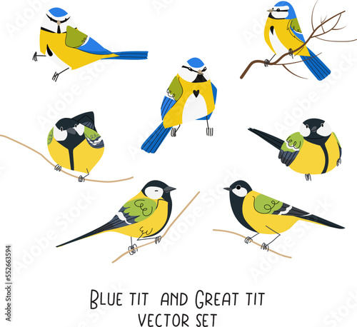 Blue tit and great tit vector set isolated on white background. Winter forest bird animal character illustration