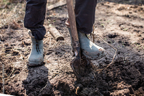 workers loosen black dirt at farm The foot of a hard-working farmer in dirty boots in the garden digs up the soil for planting seeds or seedlings in the spring.