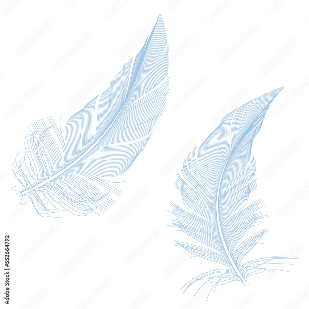 Blue feathers, detailed illustration over a transparent background, PNG image
Blue feathers, detailed illustration over a transparent background, PNG image