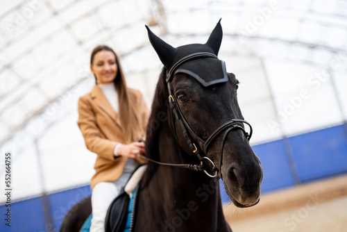 Young lady jockey with horse. Sporty horse professional woman rider.