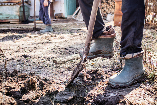 The foot of a hard-working farmer in dirty boots in the garden digs up the soil for planting seeds or seedlings in the spring. Worker digs soil with shovel