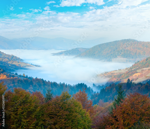 Autumn misty morning mountain valley (Carpathian Mountains, Ukraine).