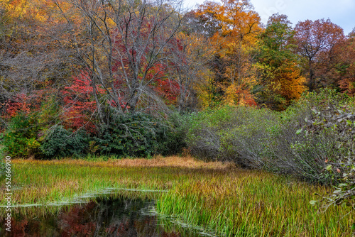 Autumn drive along the Blue Ridge Parkway in North Carolina