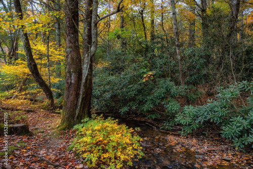 Autumn drive along the Blue Ridge Parkway in North Carolina © Dee