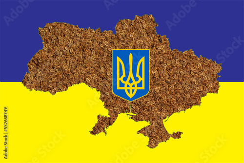 Ukrainian national symbols on the background of dry dill seeds. photo