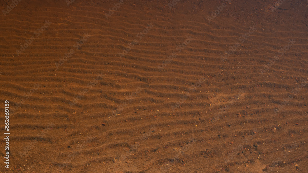 Fototapeta premium bottom of the lake