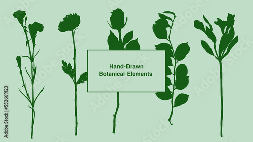 Set of botanical silhouettes of floral leaves, plants. Hand drawn sketch branches isolated on separate layers background. Vector illustration of rose, azalea, carnation, leaves, sweet pea