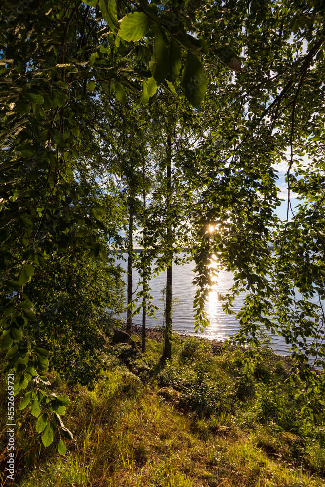 Fototapeta premium Scenic swedish lake view with forest and sun rays.