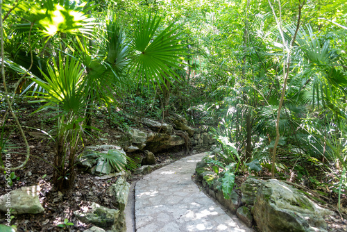 Beautiful and lush stone paths through the vegetation of a tropical jungle in the Xcaret park of the Mayan Riviera in Mexico, this is an ideal place to go on vacation.