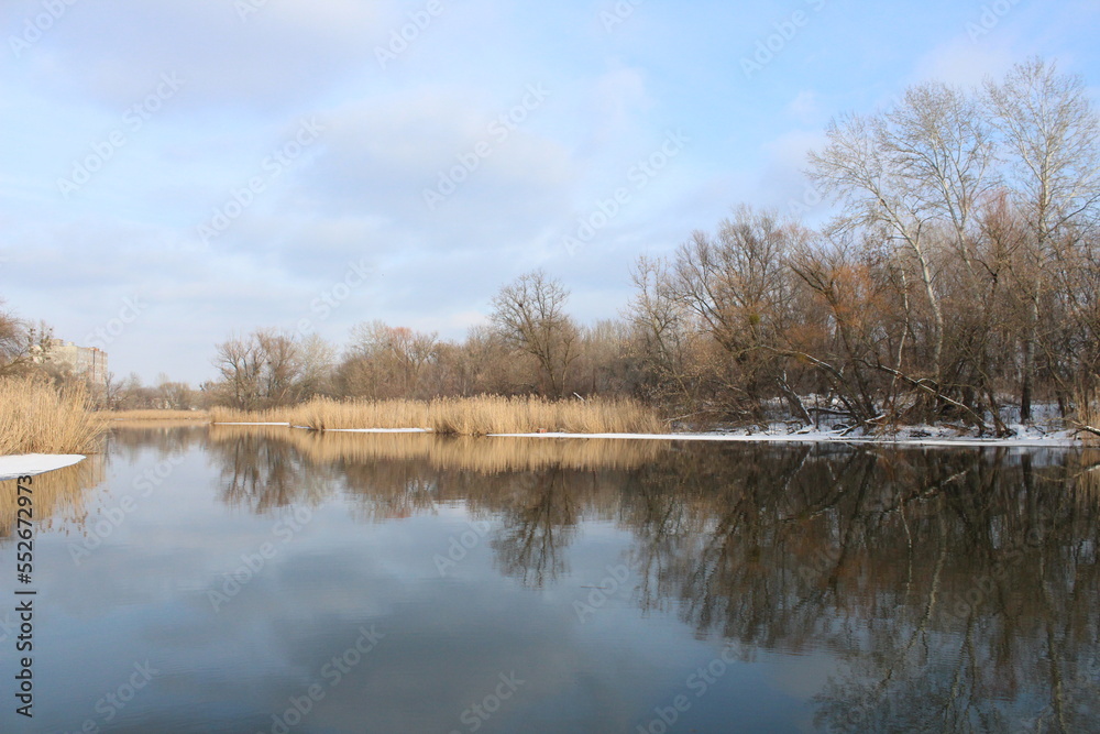 lake in the forest