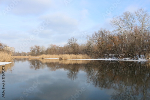 lake in the forest
