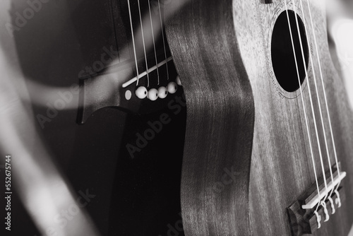 guitar and ukulele sale, black and white photo