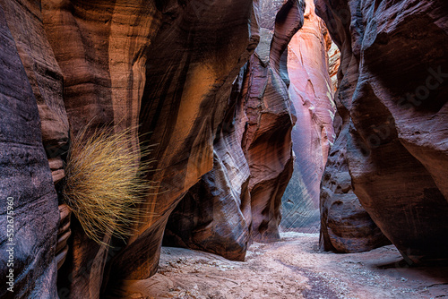 Buckskin Gulch Canyon, American Southwest
