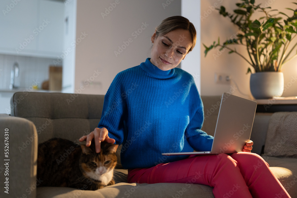 Young female freelancer sitting on cozy home couch in living room distracted from work with laptop pays attention to cat lying next to. Good mood from interacting with pet helps to cope with stress. Young female freelancer sitting on cozy home couch in living room distracted from work with laptop pays attention to cat lying next to. Good mood from interacting with pet helps to cope with stress.