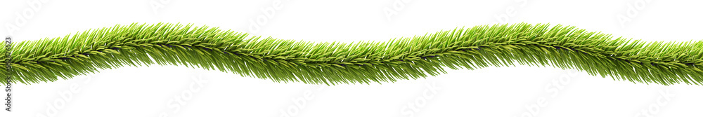 A spruce branch passes over the document, png, isolated and horizontally seamless A spruce branch passes over the document, png, isolated and horizontally seamless