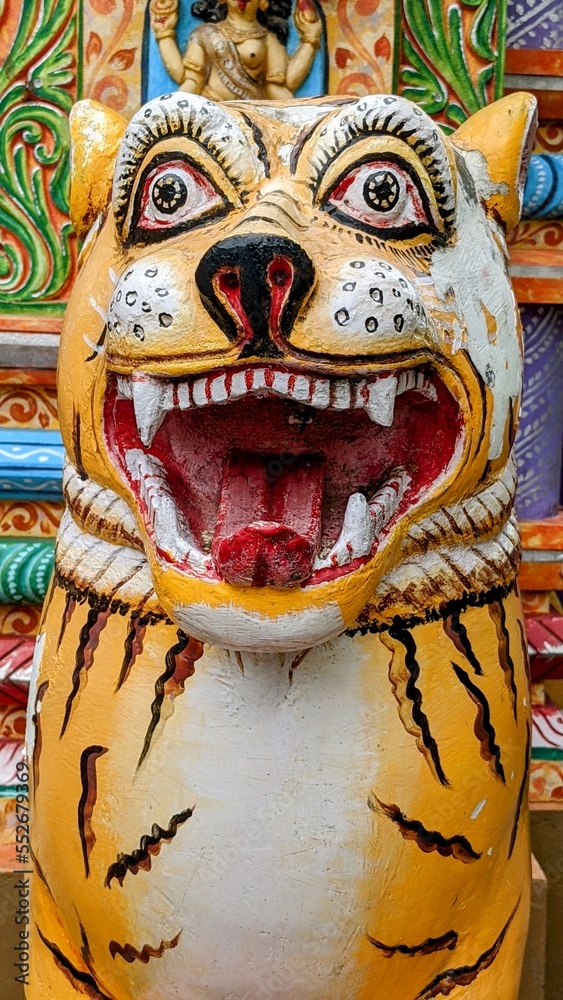 temple tiger