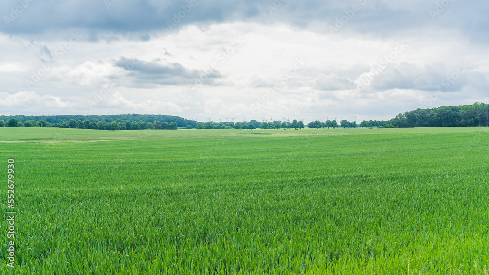 Obraz premium grüne Felder bei Benzin in Mecklenburg mit Wäldern und Windmühlen im Hintergrund