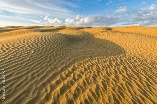 Surface of sand rippled by wind erosion, Great Sandhills Ecological Reserve; Val Marie, Saskatchewan, Canada photo