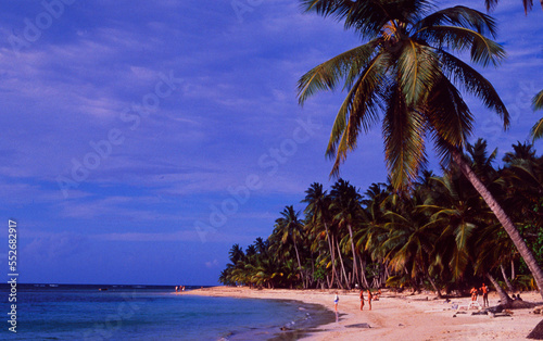 Dominican Republic: palm-beach on saman island | Dominikanische Republik: Palmenstrand auf der Insel Samana photo