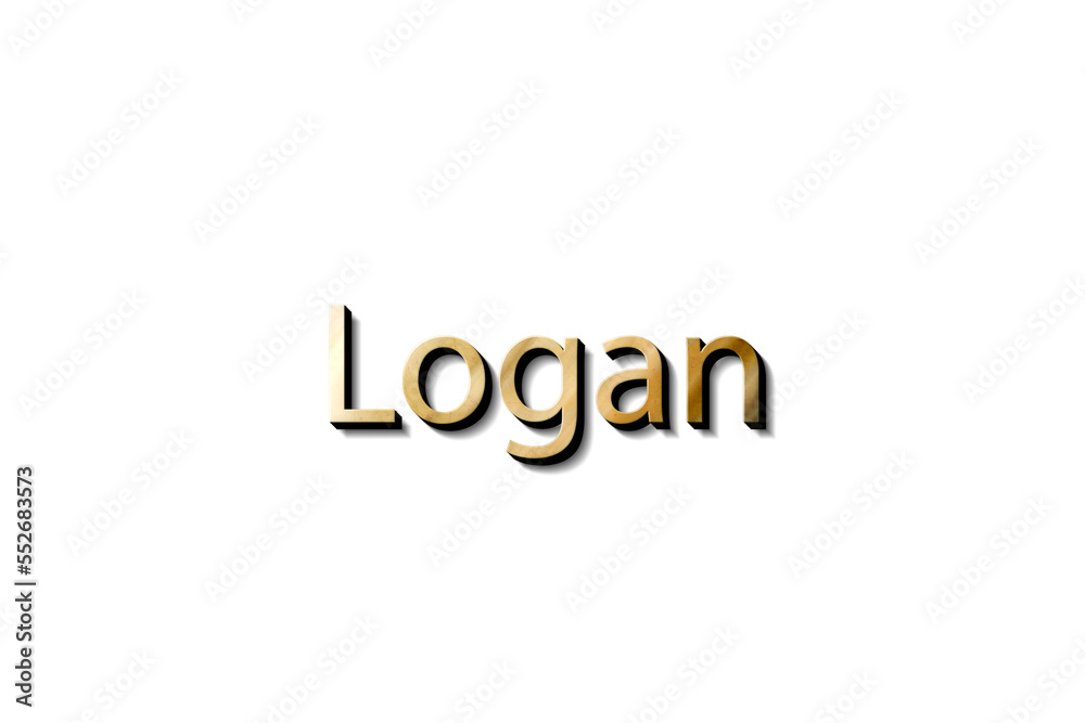 LOGAN NAME 3D