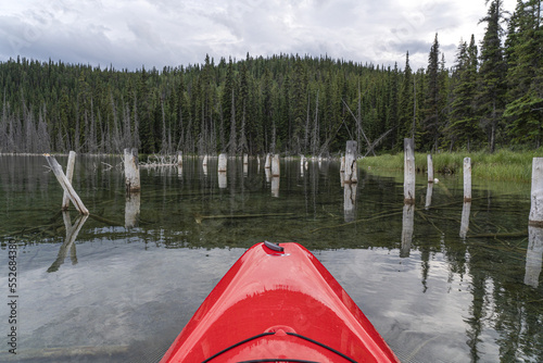 Close-up of the bow of a kayak navigating through wooden posts on a calm lake on an overcast day in the North Country; Whitehorse, Yukon, Canada