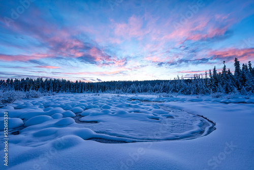 Stunning landscape of snowy mounds and conifer forest with sunset illuminating the sky with pastel pink clouds over McIntyre Creek in winter; White Horse, Yukon, Canada photo