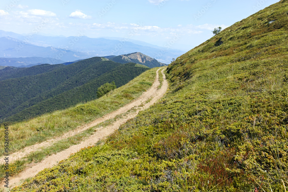 Summer landscape of Belasitsa Mountain, Bulgaria Summer landscape of Belasitsa Mountain, Bulgaria