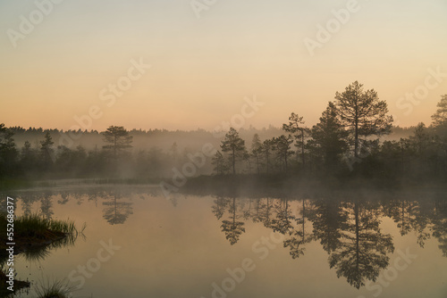 Fototapeta Naklejka Na Ścianę i Meble -  sunrise dawn on the swamp. Reflections of trees in lakes. Sunset, warm light and fog. Viru swamps Estonia