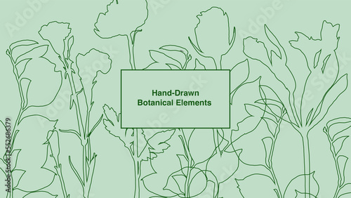 Background pattern of line drawings featuring floral leaves, plants. Hand drawn each flower isolated on separate layers. Vector illustration with rose, azalea, carnation, leaves, and sweat pea.

 photo