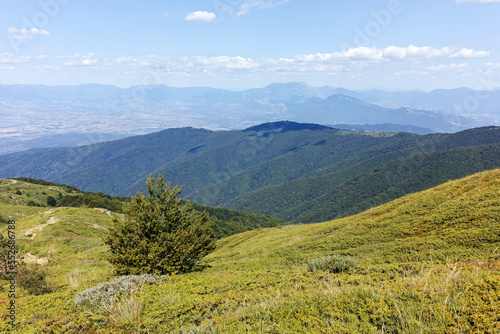 Summer landscape of Belasitsa Mountain  Bulgaria