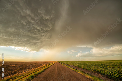 Storm clouds gather over a country road and farmland with dirt road leading into the distance; North Dakota, United States of America photo