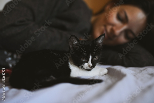 cat with his mistress happy