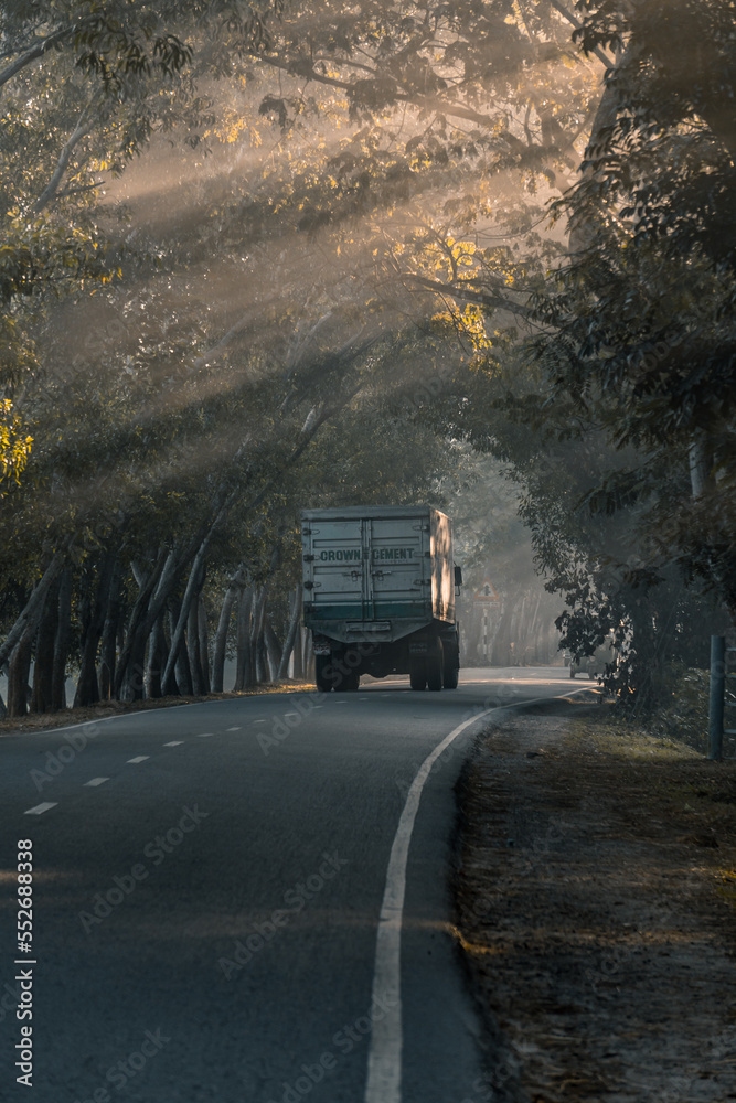 driving through the foggy road